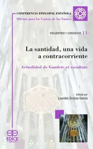 La santidad, una vida a contracorriente